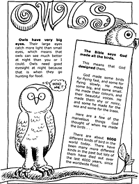 Print-Ready Handout: Owls ( 1 of 2 )