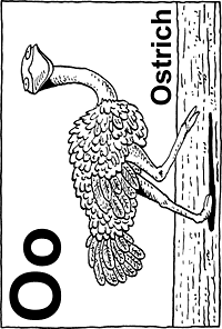 Print-Ready Handout: O - Ostrich