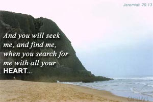 Seek find